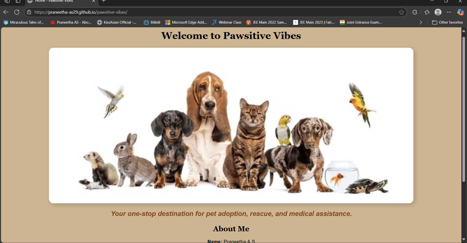 Pawsitive Vibes Screenshot 1